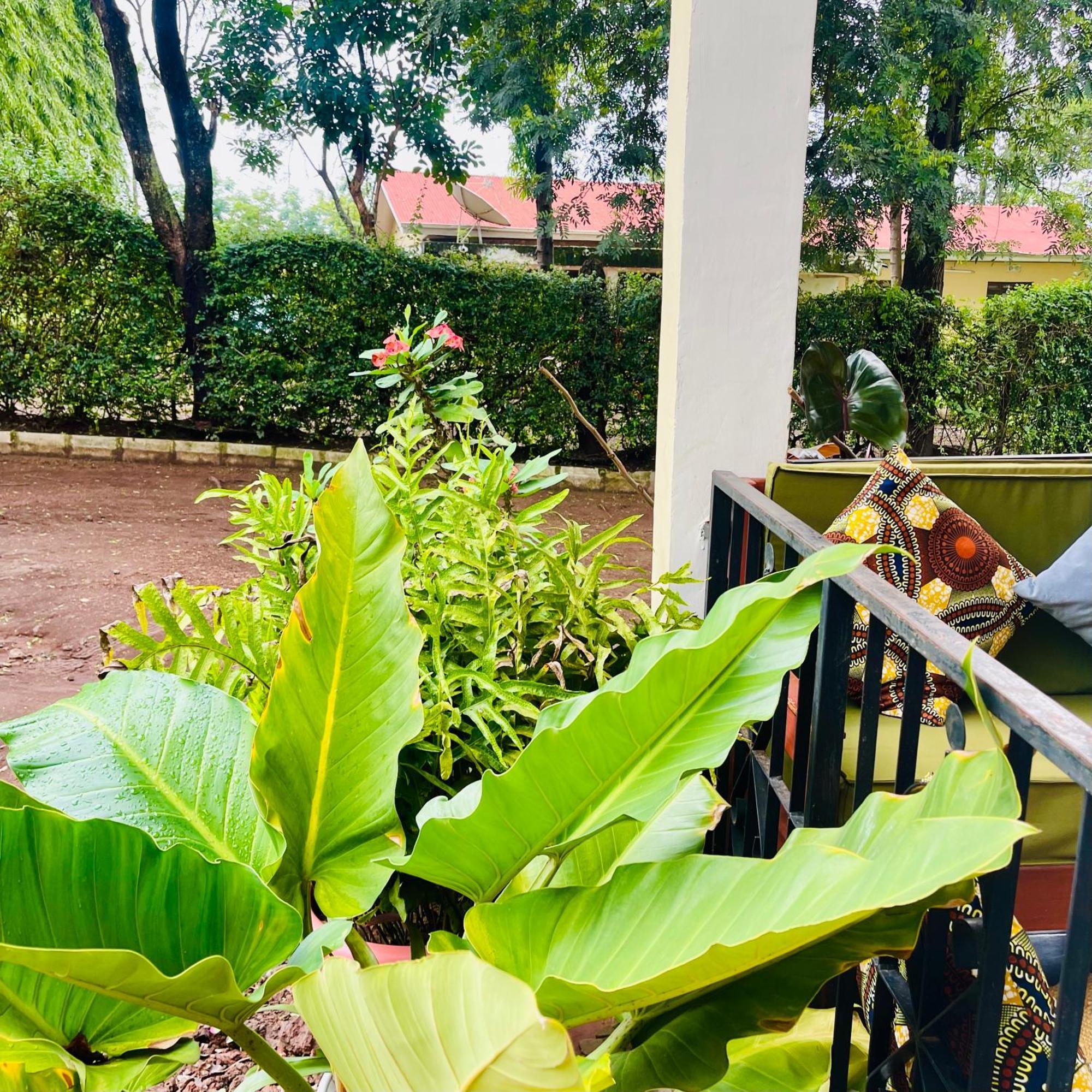 Sophie Homestay موشي المظهر الخارجي الصورة